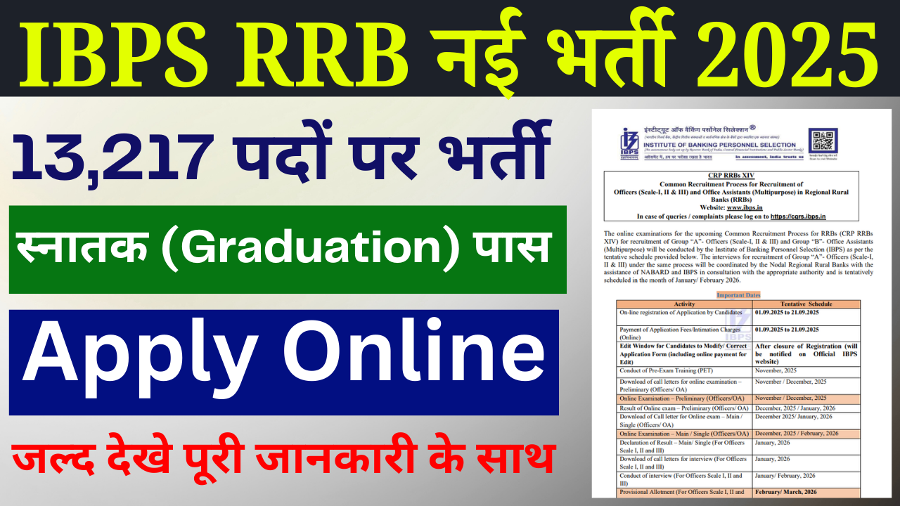 IBPS RRB Recruitment 2025: ऑफिसर और ऑफिस असिस्टेंट के 13,217 पदों पर बम्पर भर्ती, ऐसे करें ऑनलाइन आवेदन