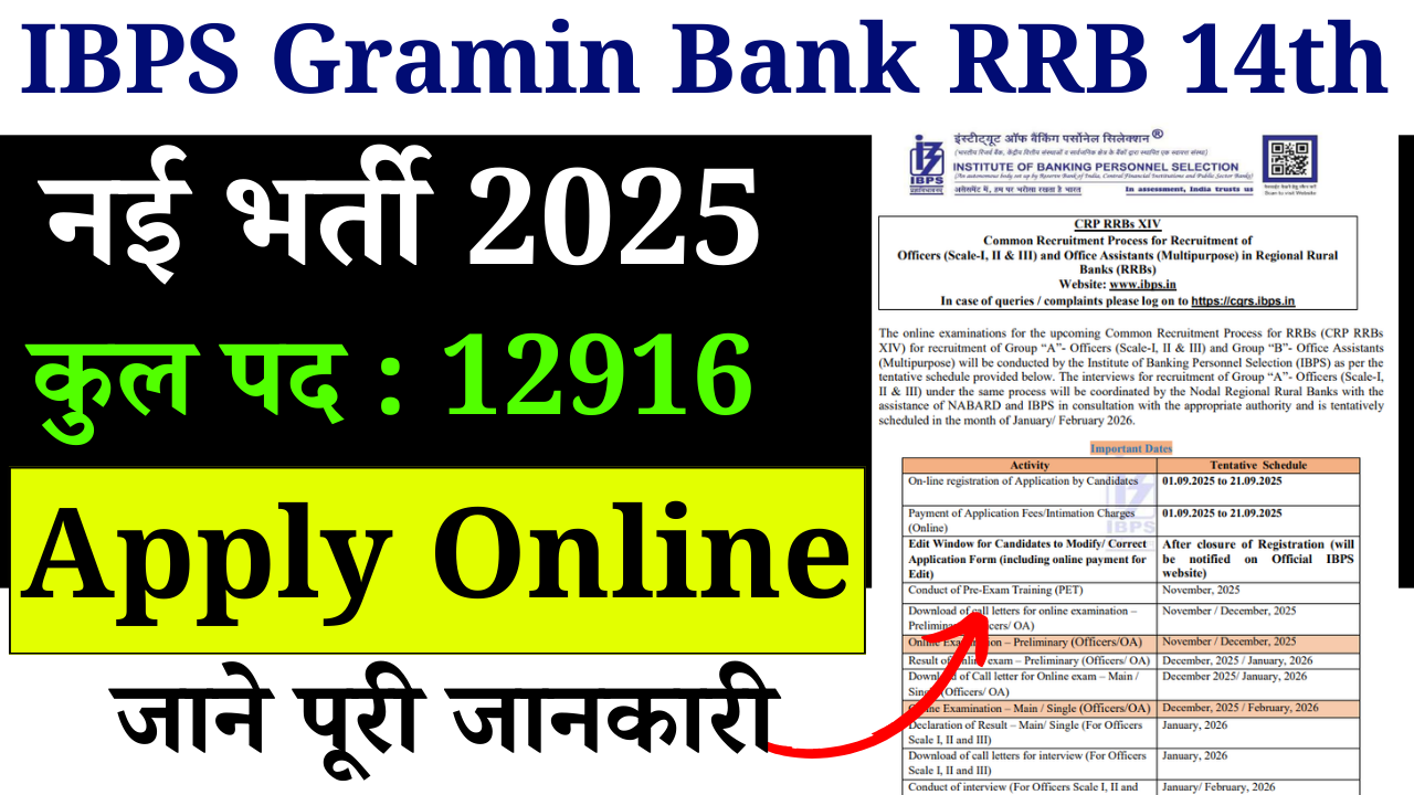 IBPS Gramin Bank RRB 14th Recruitment 2025: IBPS ग्रामीण बैंक भर्ती 2025- 12916 पदों के लिए ऑनलाइन आवेदन शुरू