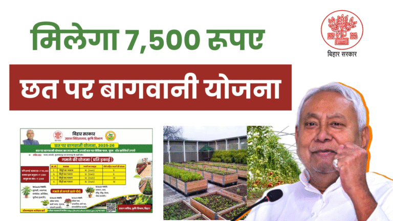 Chhat Par Bagwani Yojana 2025: नई योजना - छत पर पौधा लगाएं और पाएं ₹7,500 तक का अनुदान - Full Details