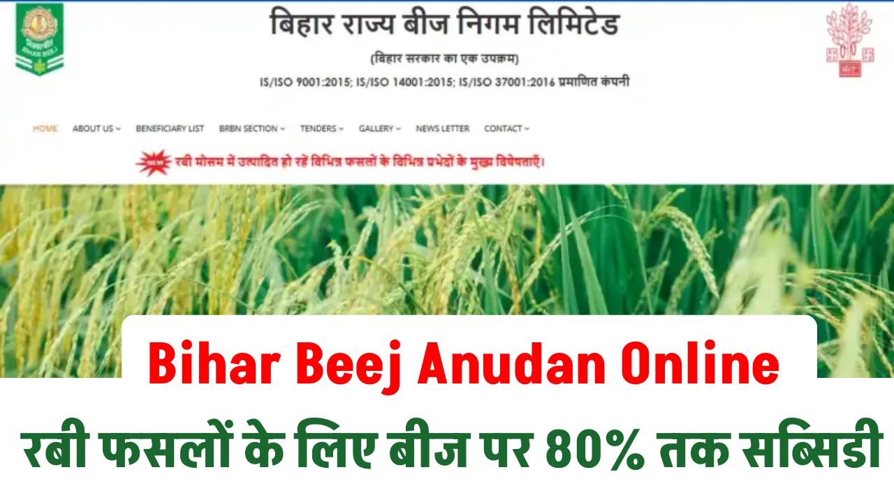 Bihar Beej Anudan Online Apply 2025: रबी फसलों के लिए बीज पर 80% तक सब्सिडी – ऐसे करें आवेदन और जानें Full Details