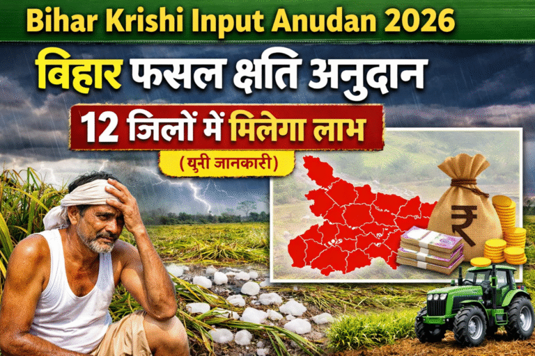 Bihar Krishi Input Anudan 2026: बिहार फसल क्षति अनुदान – 12 जिलों में मिलेगा लाभ (पूरी जानकारी)