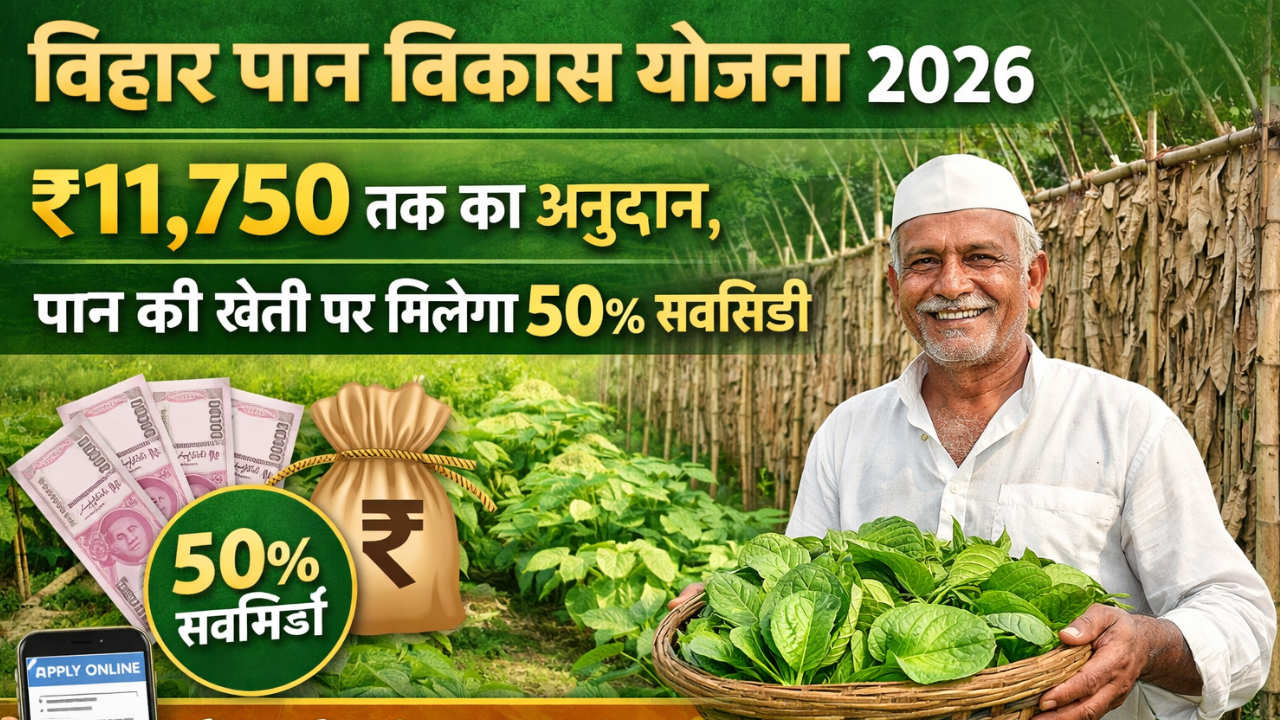 Bihar Paan Vikas Yojana 2026: ₹11,750 तक का अनुदान, पान की खेती पर मिलेगा 50% सब्सिडी – ऐसे करें ऑनलाइन आवेदन